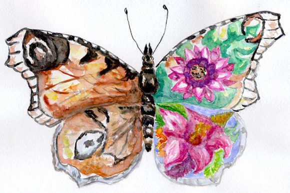 Butterfly and Flowers Abstract Drawing