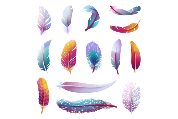 Colorful Bird Feather. Realistic Feather