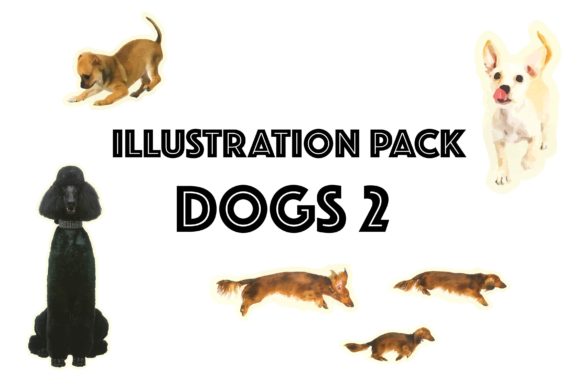 Evaluating Illustration Pack Dogs 2 for Professional Design Projects