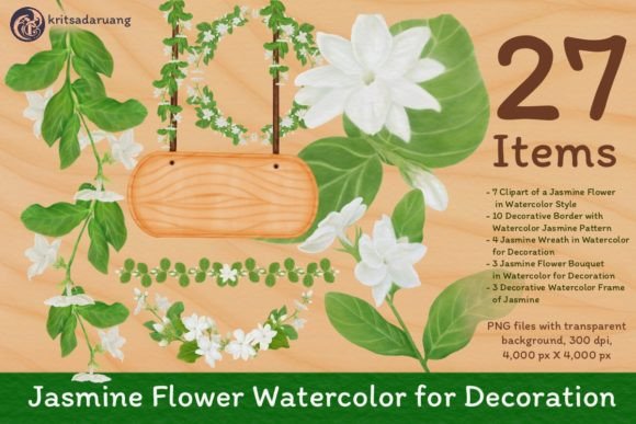 Jasmine Flower Watercolor for Decoration
