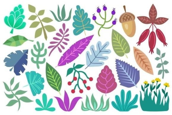 Nature Decorations: A Comprehensive Evaluation of the Botanical Design Collection