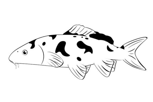 The Timeless Appeal of Koi Fish in Black and White: A Designer's Guide to Classic Japanese Imagery